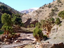 Summit trekking au Maroc