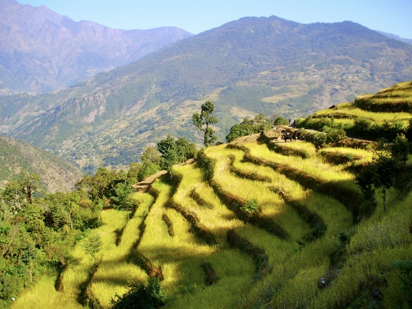 Helambu Trek Nepal