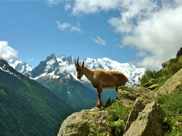 Mont Blanc, Chamonix